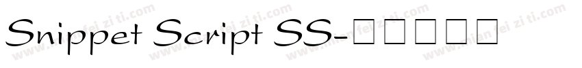 Snippet Script SS字体转换